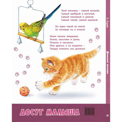 Домашние питомцы, производитель ЭНАС-КНИГА , ISBN 978-5-00198-589-1№ 6