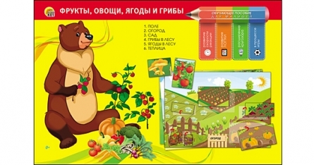 Обучающее пособие. Фрукты, овощи, ягоды и грибы, арт. По-0403, производитель Рыжий кот, ISBN 466-5-29540-403-0, № 1
