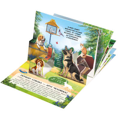 Набор «Коллекция карманных POP-UP энциклопедий. Комплект №2»., производитель Malamalama (Маламалама), ISBN 465-5-75264-268-6№ 5