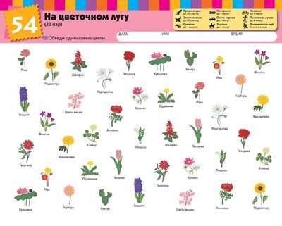Kumon. Найди пару. Растения и животные. Уровень 1, производитель Манн, Иванов и Фербер , ISBN 978-5-00146-858-5№ 5