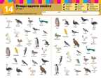 Kumon. Найди пару. Растения и животные. Уровень 2, производитель Манн, Иванов и Фербер , ISBN 978-5-00146-587-4, № 2