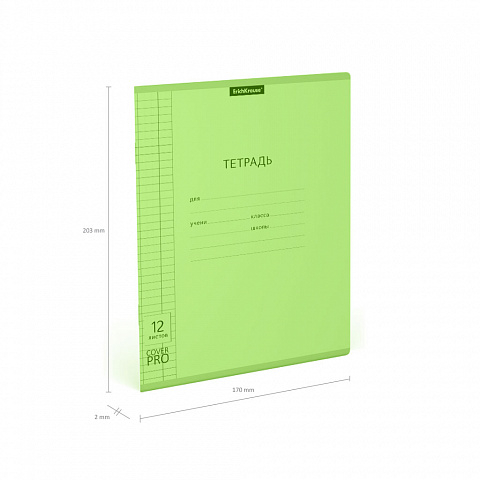 Тетрадь школьная ученическая Классика CoverPrо Neon fizzy, зеленый, А5+, 12 листов, клетка, арт. 56348, производитель ErichKrause® (Эрих Краузе), ISBN 460-1-92156-348-1, № 3