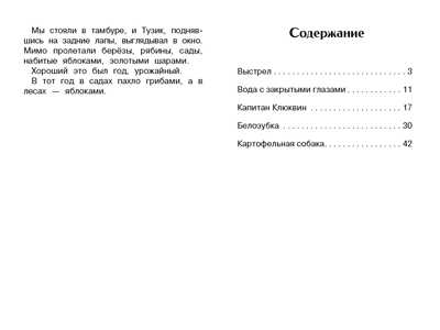 Внек.Чтение. Капитан Клюквин и другие рассказы Коваль Т.Л., производитель Стрекоза , ISBN 978-5-99515-044-2№ 5