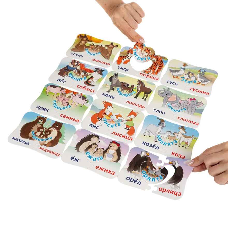 Настольная игра Мама, папа и мы, арт. ВВ6457, производитель Bondibon (Бондибон), ISBN 466-0-12005-433-6, № 3