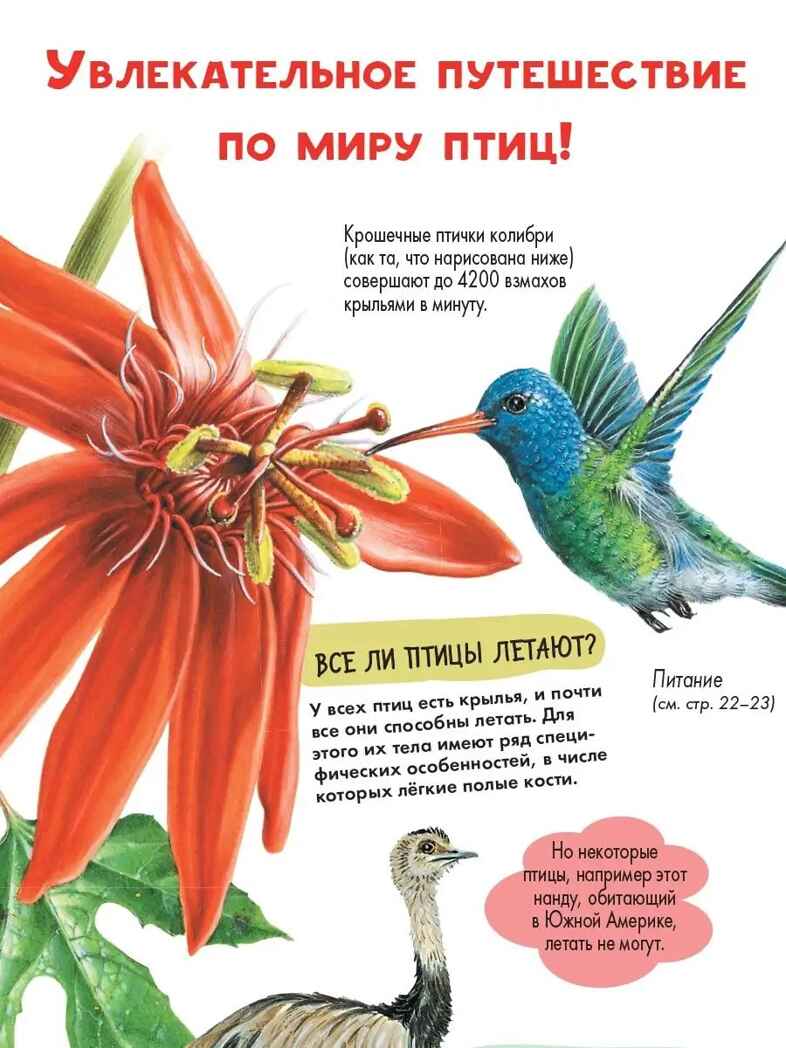 Птицы, производитель АСТ , ISBN 978-5-17146-620-6, № 3