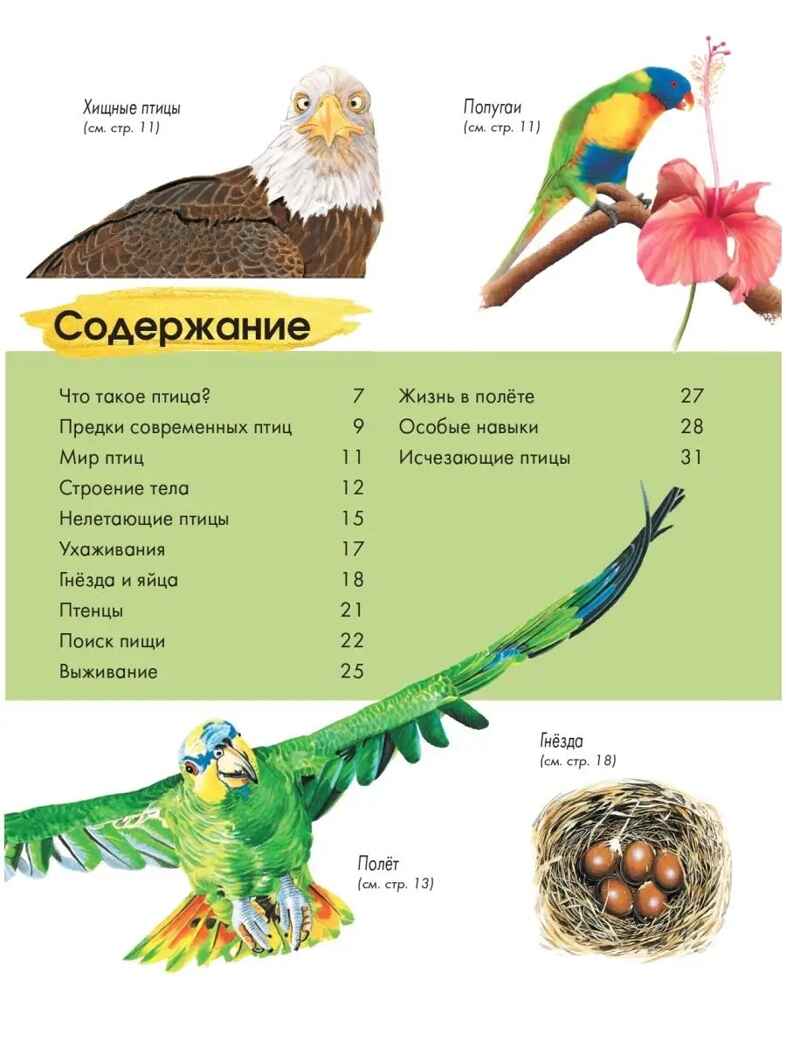 Птицы, производитель АСТ , ISBN 978-5-17146-620-6, № 5