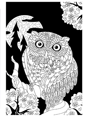 Макси-антистресс. Узоры леса., производитель Проф-Пресс , ISBN 978-5-37833-895-5№ 2