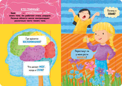 Книжка с окошками. Как устроено тело человека. И другие интересные вопросы/Мосс Р., производитель Клевер (Clever) , ISBN 978-5-00211-782-6№ 4