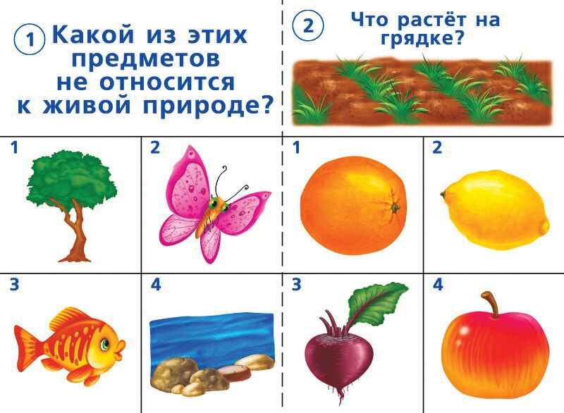 Готов ли ты к школе? Окружающий мир природа, производитель «Весна-Дизайн» (ИП Бурдина С. В.), ISBN 200-0-00000-277-4, № 2