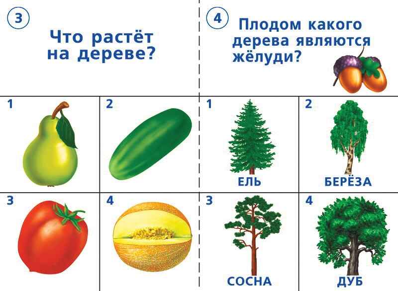 Готов ли ты к школе? Окружающий мир природа, производитель «Весна-Дизайн» (ИП Бурдина С. В.), ISBN 200-0-00000-277-4, № 3