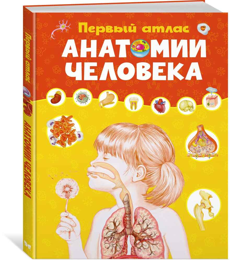 Первый атлас анатомии человека, производитель Махаон , ISBN 978-5-38923-518-2, № 2