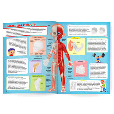 Атлас с наклейками. Тело человека. 21х29,7 см., производитель ГЕОДОМ , ISBN 978-5-90709-395-9№ 2