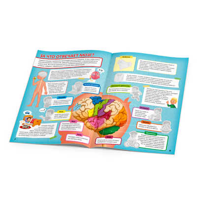 Атлас с наклейками. Тело человека. 21х29,7 см., производитель ГЕОДОМ , ISBN 978-5-90709-395-9№ 4