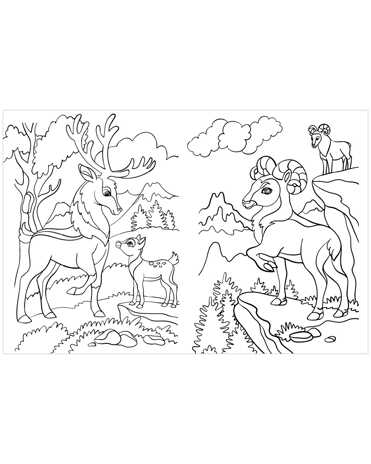 Животные. Весёлые раскраски, производитель Клевер (Clever) , ISBN 978-5-00154-640-5№ 2