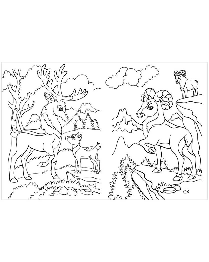 Животные. Весёлые раскраски, производитель Клевер (Clever) , ISBN 978-5-00154-640-5, № 2