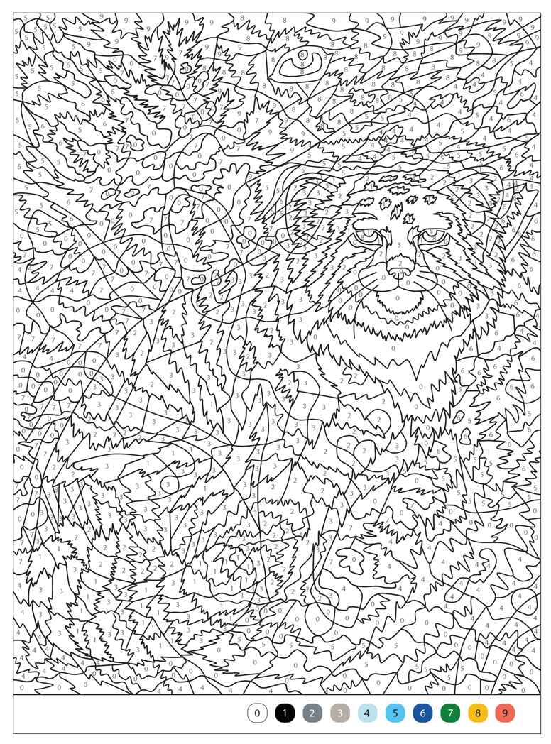 Коты и кошки (Цветовой код. Раскрась по номерам), раскраска, производитель МОЗАИКА kids , ISBN 978-5-43154-601-3, № 4