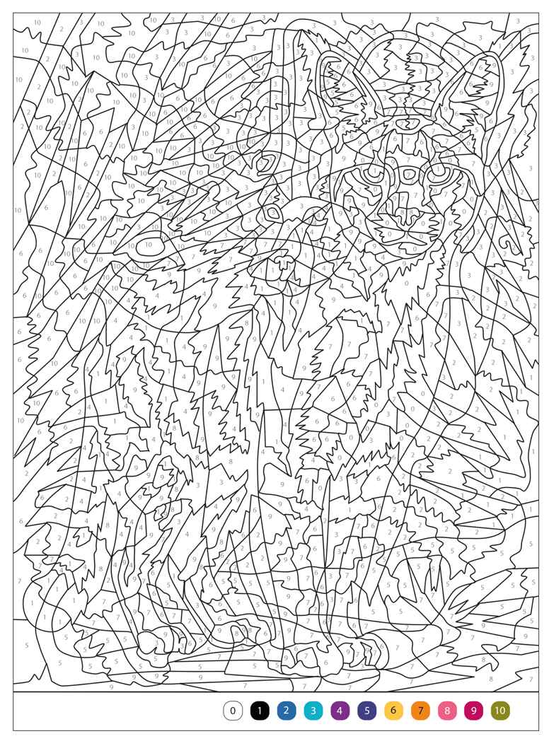 Коты и кошки (Цветовой код. Раскрась по номерам), раскраска, производитель МОЗАИКА kids , ISBN 978-5-43154-601-3, № 6