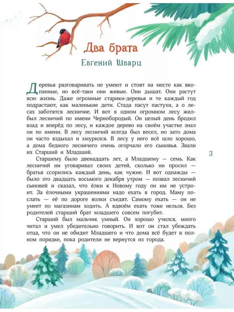 Елкус! Чудус! Новый годус! 16 волшебных сказок, производитель АСТ , ISBN 978-5-17168-709-0, № 4