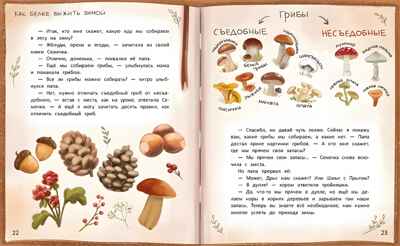 Луна в ореховой скорлупе, производитель «Феникс-Премьер», ISBN 978-5-22241-831-4№ 4