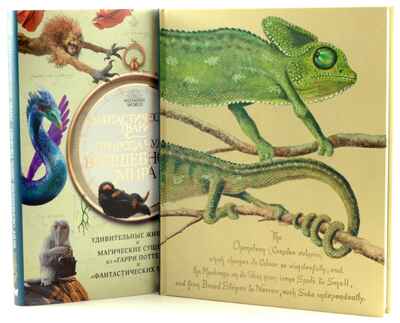 Фантастические твари. Природа чудес волшебного мира, производитель Махаон , ISBN 978-5-38919-293-5№ 2