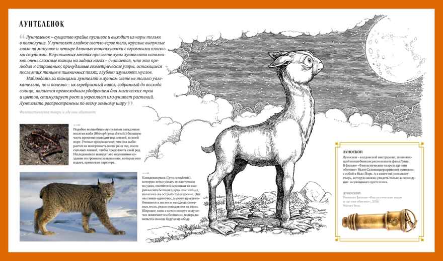 Фантастические твари. Природа чудес волшебного мира, производитель Махаон , ISBN 978-5-38919-293-5, № 4