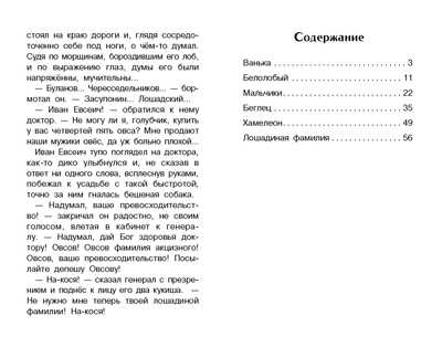 Внек.Чтение. Мальчики и другие рассказы А.Чехов. НОВ Чехов А.П., производитель Стрекоза , ISBN 978-5-99515-149-4№ 5