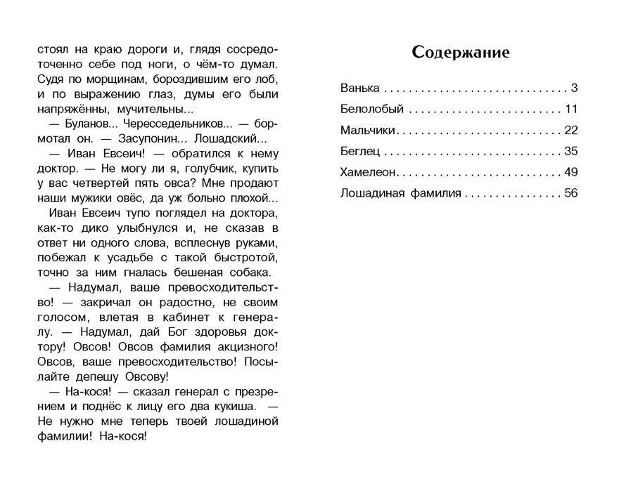 Внек.Чтение. Мальчики и другие рассказы А.Чехов. НОВ Чехов А.П., производитель Стрекоза , ISBN 978-5-99515-149-4, № 5
