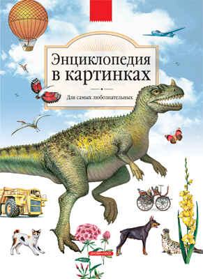 Энциклопедия в картинках, производитель Дрофа Плюс , ISBN 978-5-95551-122-1№ 1