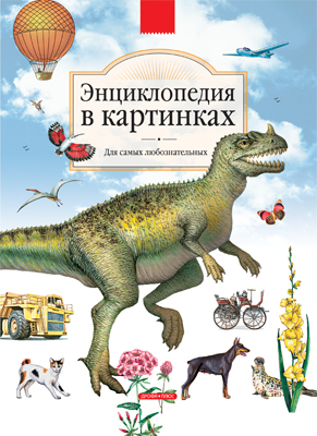 Энциклопедия в картинках, производитель Дрофа Плюс , ISBN 978-5-95551-122-1, № 1