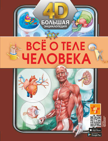 Всё о теле человека. Большая 4D-энциклопедия, производитель АСТ , ISBN 978-5-17147-696-0