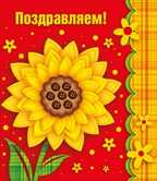 Поздравляем!, производитель Мир поздравлений, ISBN 46032624-7-50030-428-3, № 1