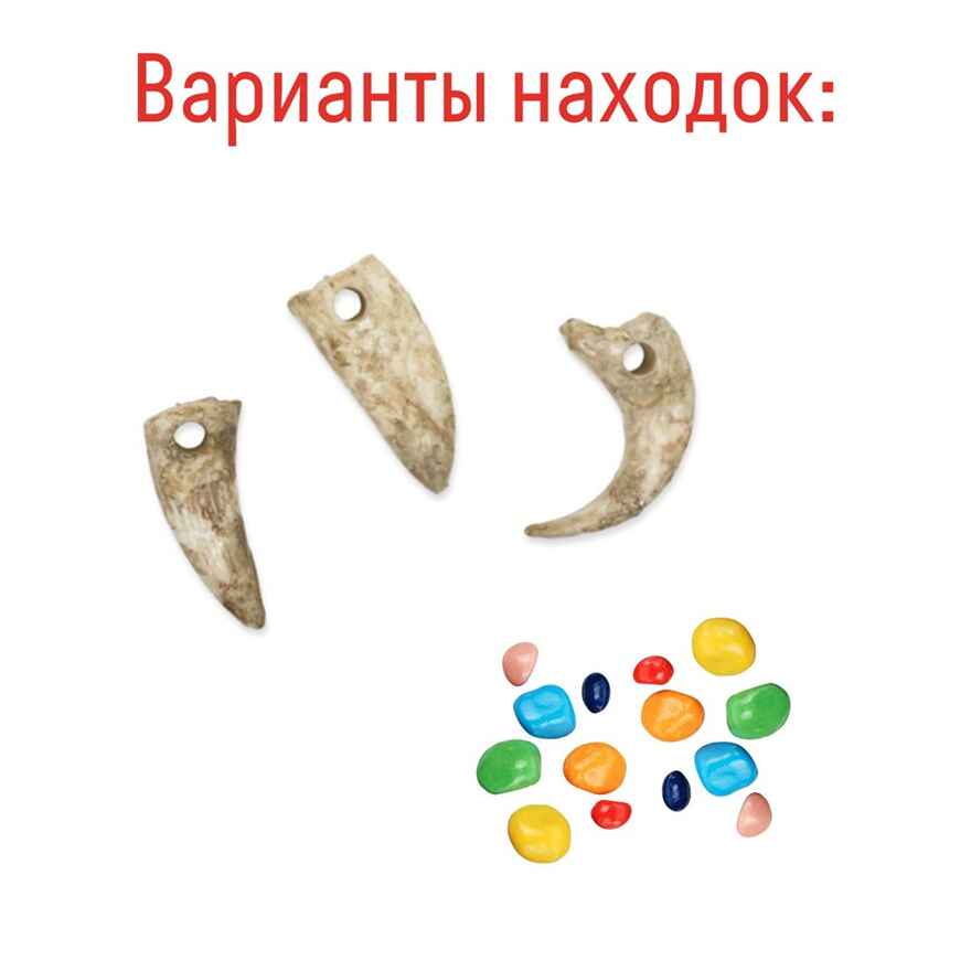 Набор для проведения раскопок Талисман тигра, арт. dig-81, производитель BUMBARAM (БУМБАРАМ), ISBN 462-0-03915-972-0, № 3