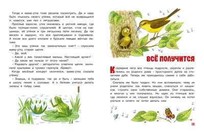 Мамины сказки. Носова Л. С., производитель Махаон , ISBN 978-5-38926-355-0№ 5