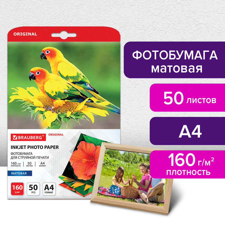 Фотобумага матовая, А4, 160 г/м2, односторонняя, 50 листов, арт. 363985, производитель Brauberg, ISBN 460-6-22434-758-5, № 1