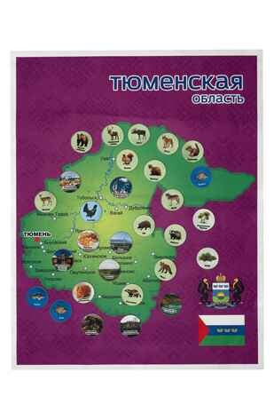 Тюменская область. Панно, арт. LIP1510, производитель Веселые липучки LIP-LIP, ISBN 200-0-73819-148-1№ 6