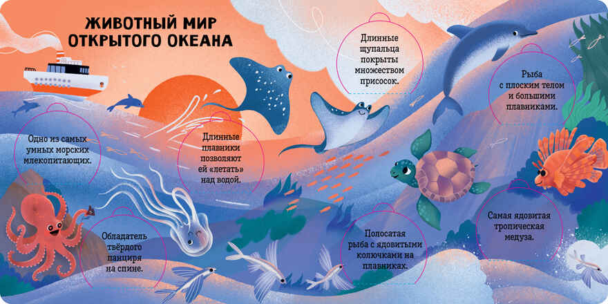 Книжка с окошками. Океаны и моря. Энциклопедия с окошками, производитель Клевер (Clever) , ISBN 978-5-00211-767-3, № 2