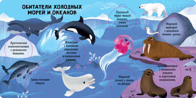 Книжка с окошками. Океаны и моря. Энциклопедия с окошками, производитель Клевер (Clever) , ISBN 978-5-00211-767-3№ 3