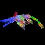 Laser Pegs Набор 24 в 1. Динозавры, арт. NG 300, производитель Laser Pegs (Лазер Пегс), ISBN 81-0-69002-055-0, № 3