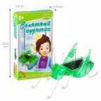 Французские опыты Науки с Буки Bondibon, Солнечный кузнечик, арт. ВВ2025, производитель Bondibon (Бондибон), ISBN 489-5-13601-982-0, № 6