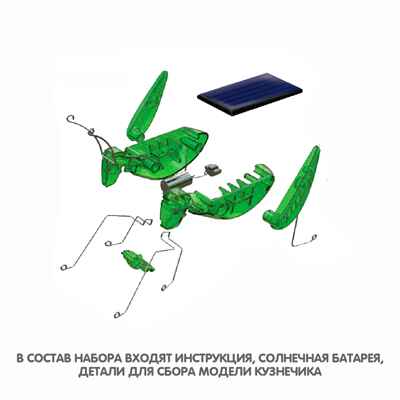 Французские опыты Науки с Буки Bondibon, Солнечный кузнечик, арт. ВВ2025, производитель Bondibon (Бондибон), ISBN 489-5-13601-982-0 № 7