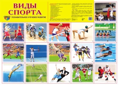 Демонстрационный плакат А2. Виды спорта, производитель Сфера ТЦ , ISBN 978-5-99490-864-8, № 1