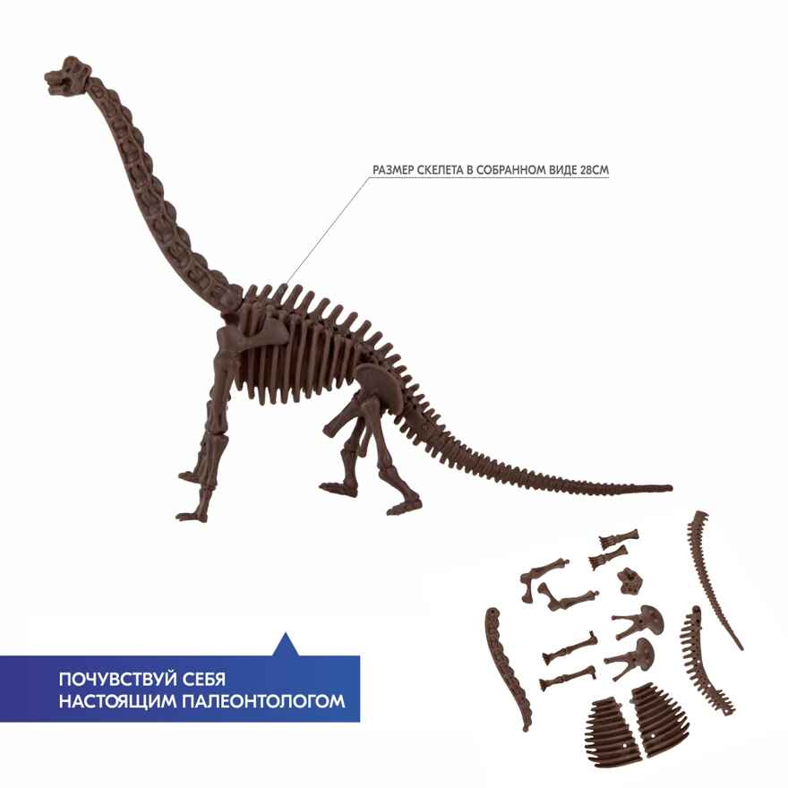 Раскопай скелет. Брахиозавр, арт. 00-03237, производитель 4М, ISBN 489-3-15603-237-9, № 5