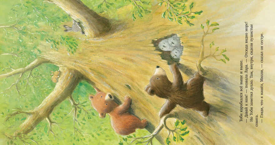 Книжки-картинки. Секрет храброго медвежонка Чью С., производитель Клевер (Clever) , ISBN 978-5-00252-053-4, № 6
