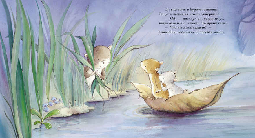 Книжки-картинки. Счастливая звезда Батлер М., производитель Клевер (Clever) , ISBN 978-5-00252-045-9, № 5