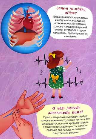 Атлас. Тело человека, производитель Проф-Пресс , ISBN 978-5-37833-999-0 № 2