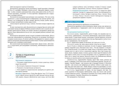 Ознакомление с природой в детском саду. 6-7 лет. Методическое пособие. ФГОС. ФОП, производитель МОЗАИКА-СИНТЕЗ , ISBN 978-5-43154-344-9№ 3