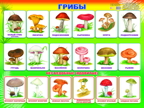 Грибы. Обучающие карточки, производитель Слово , ISBN 978-5-91282-754-9, № 1