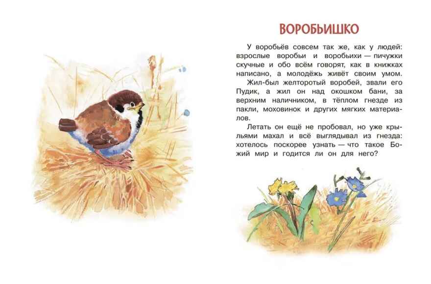 Воробьишко и другие сказки, производитель Вакоша , ISBN 978-5-00132-487-4, № 2