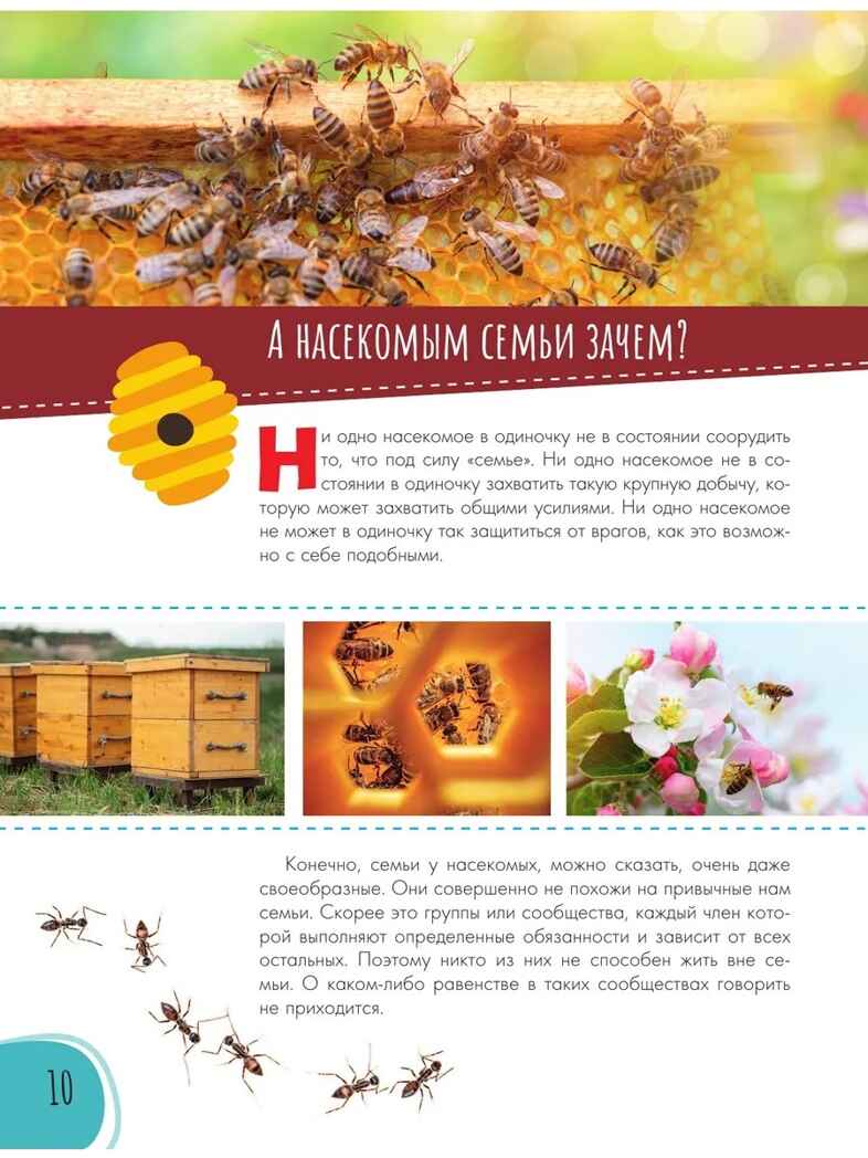 Моя родословная. Пособие по семьеведению, производитель АСТ , ISBN 978-5-17157-751-3, № 12