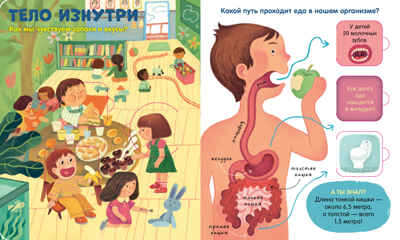 Книжка с окошками. Тело человека, производитель Клевер (Clever) , ISBN 978-5-00211-697-3№ 3